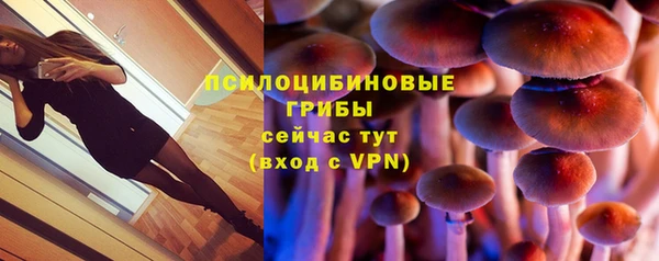 скорость Тайга