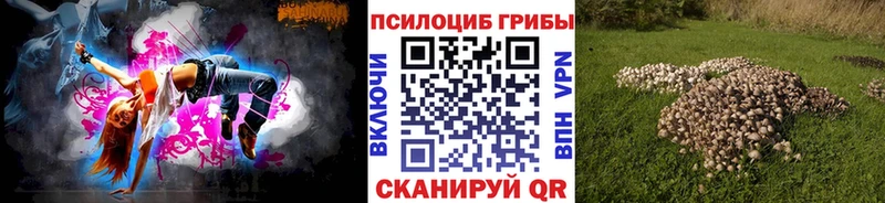 Галлюциногенные грибы Cubensis Сенгилей